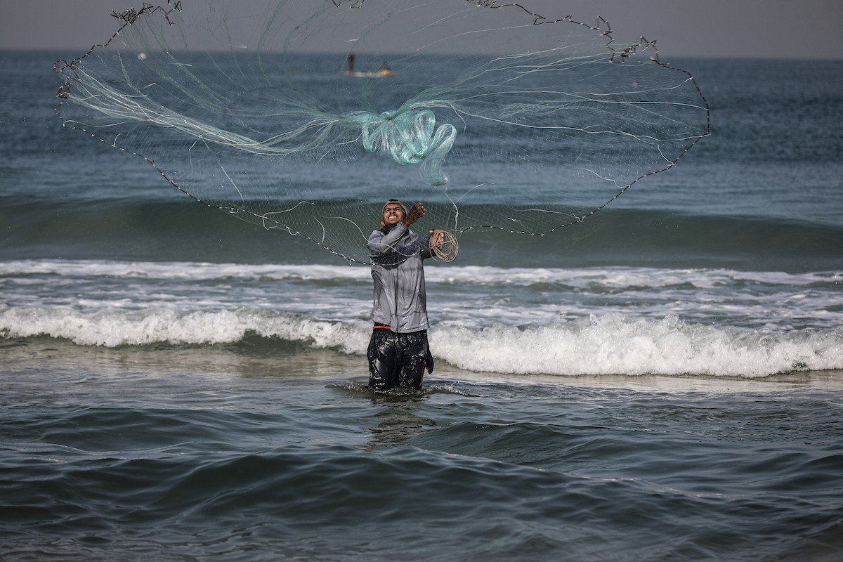 صيادون فلسطينيون نازحون يجمعون صيدهم من الشباك التي جلبوها إلى الشاطئ في دير البلح، في وسط قطا (23).jpg