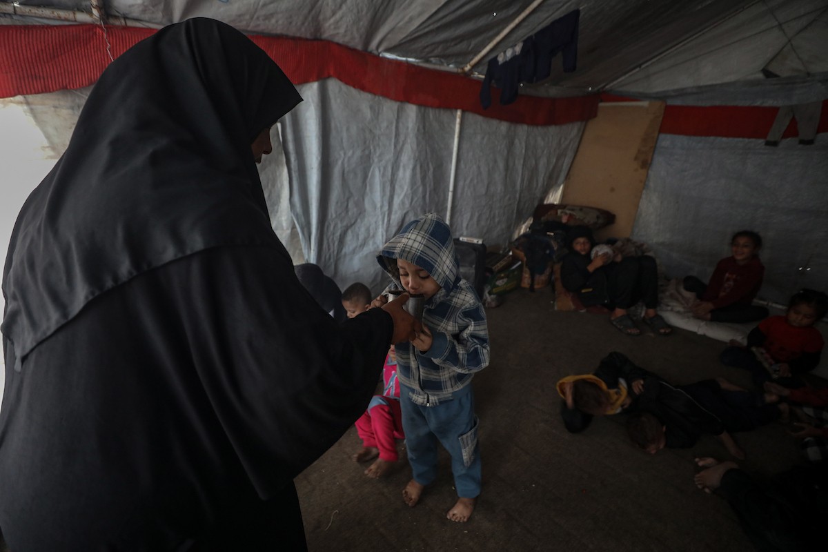 مسنان يعتنيان بـ 36 حفيدًا بعد أن فقدا خمسة من أبنائهما خلال الحرب الإسرائيلية على قطاع غزة (21).jpg