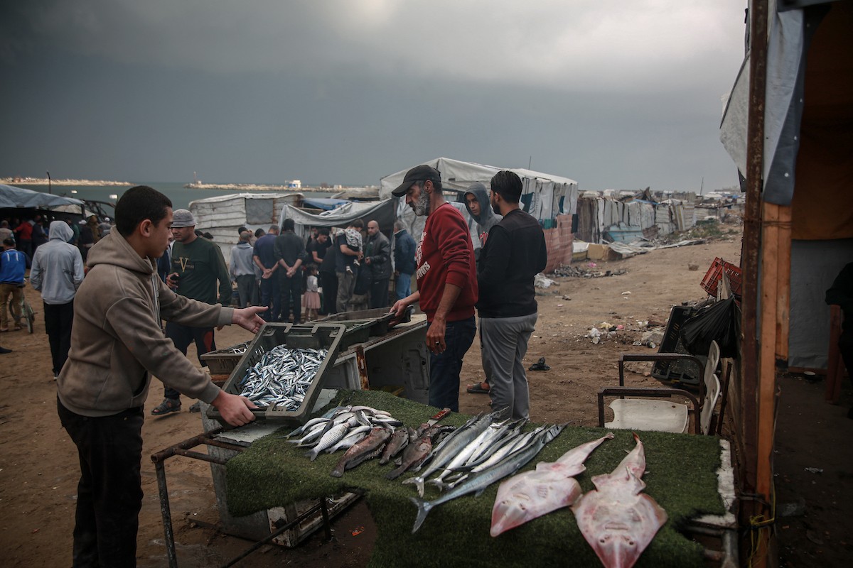 يحاول الصيادون الفلسطينيون في ميناء غزة كسب رزقهم من خلال رمي شباكهم، رغم الأضرار التي لحقت بمعداتهم جراء الهجمات على مدينة غزة