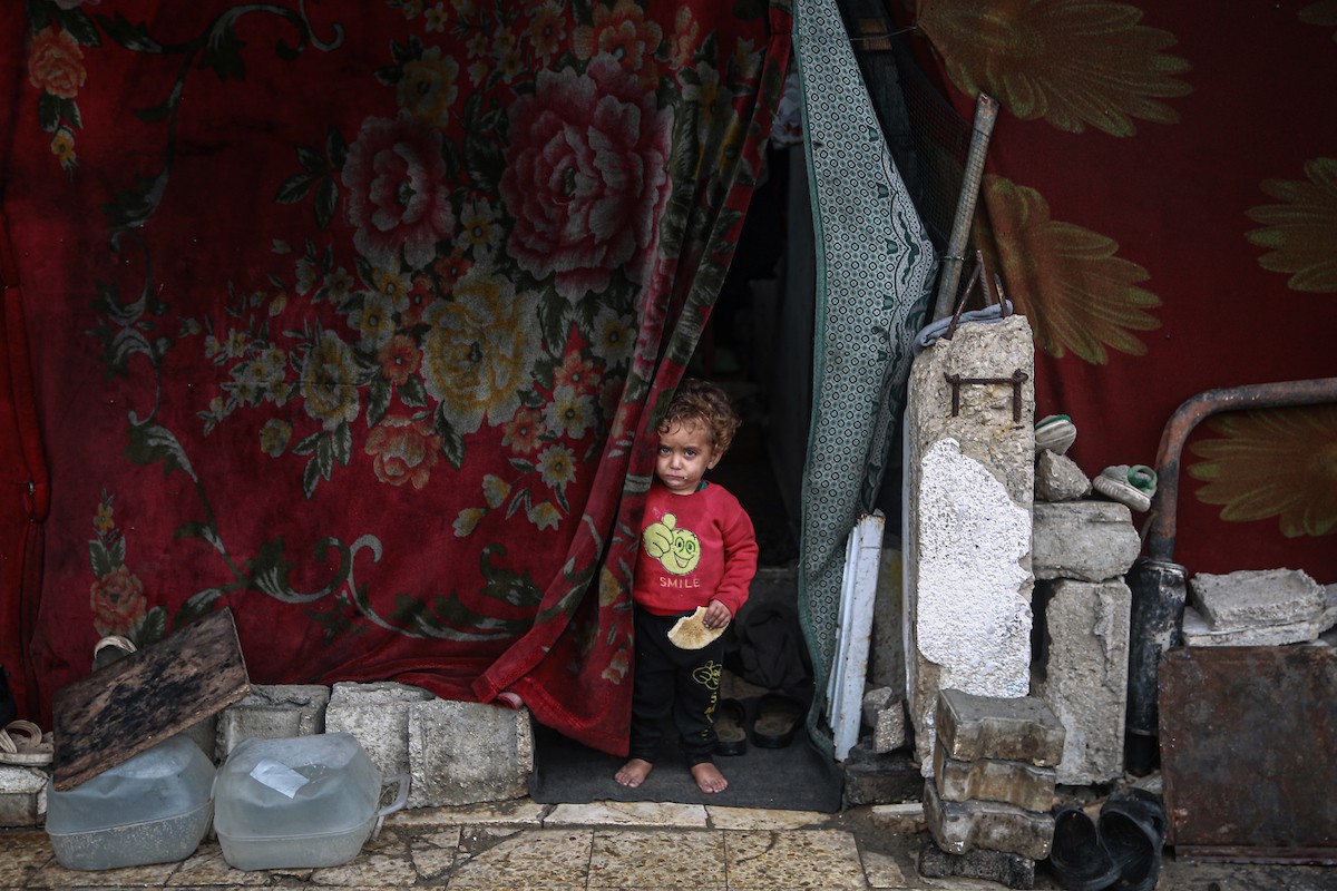 منظر لخيام النازحين في ميناء غزة بعد أن غمرتها مياه الأمطار، مخلفةً بركًا من الماء والطين في أنحاء مدينة غزة، 14 نوفمبر/تشرين الثاني 2025