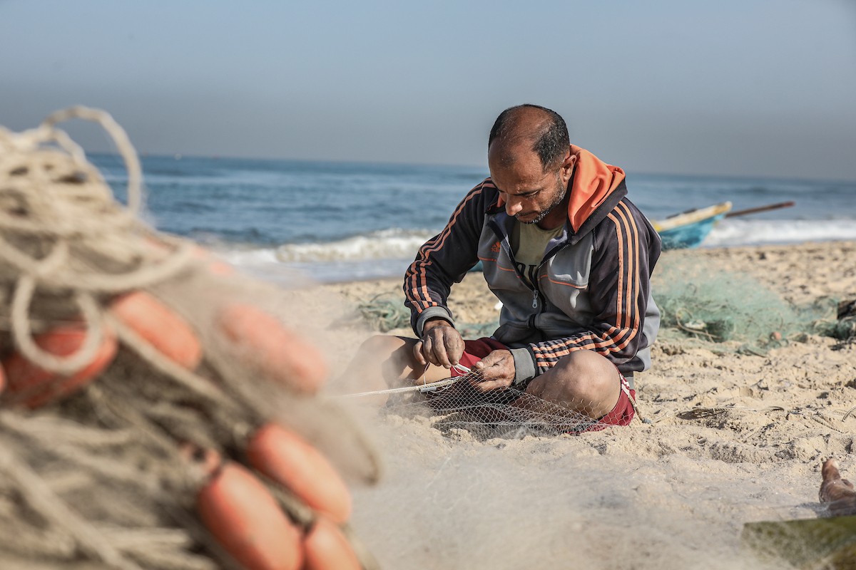 صيادون فلسطينيون نازحون يجمعون صيدهم من الشباك التي جلبوها إلى الشاطئ في دير البلح، في وسط قطا (10).jpg