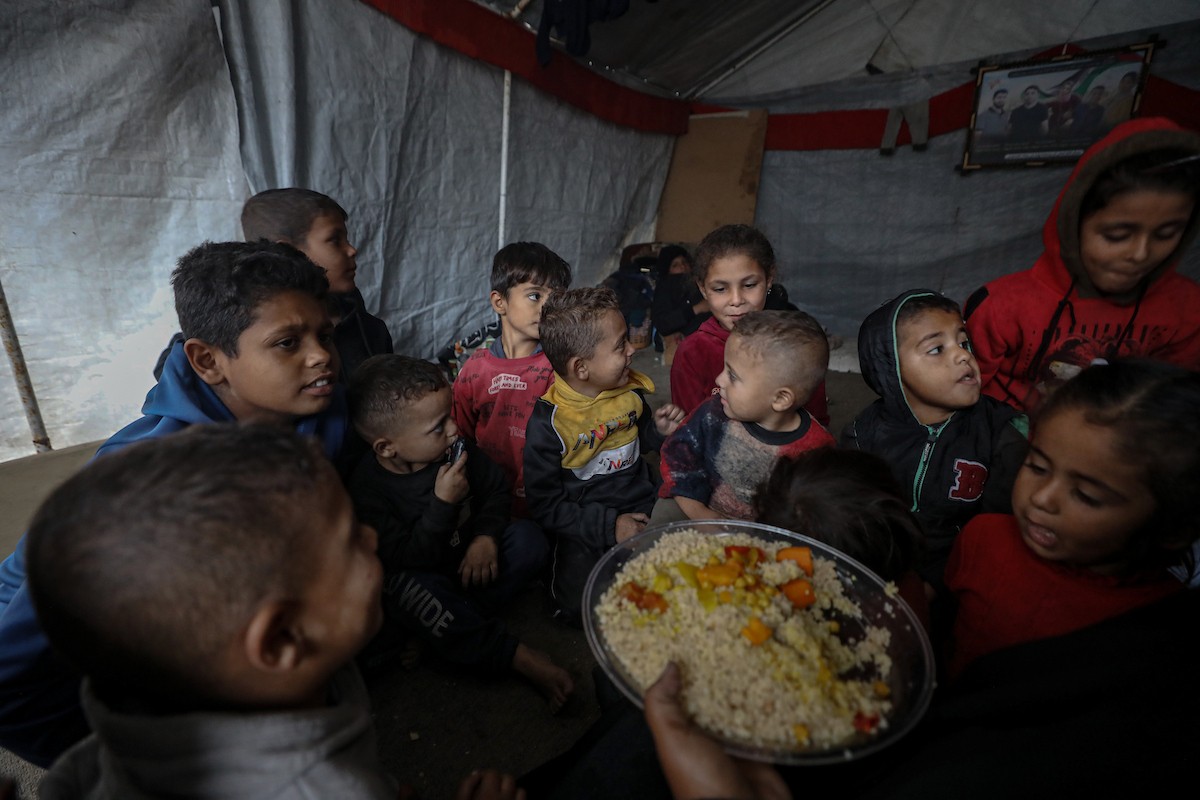 مسنان يعتنيان بـ 36 حفيدًا بعد أن فقدا خمسة من أبنائهما خلال الحرب الإسرائيلية على قطاع غزة (12).jpg