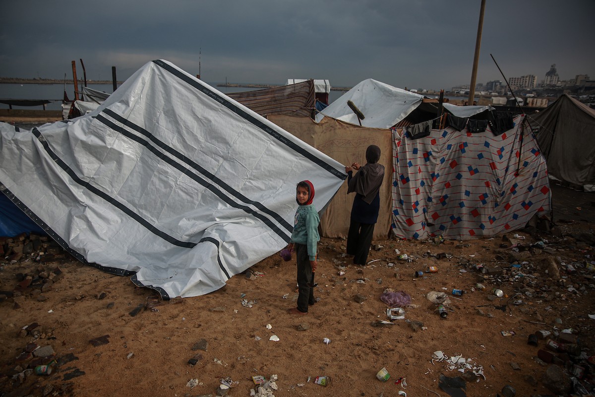 منظر لخيام النازحين في ميناء غزة بعد أن غمرتها مياه الأمطار، مخلفةً بركًا من الماء والطين في أنحاء مدينة غزة، 14 نوفمبر/تشرين الثاني 2025