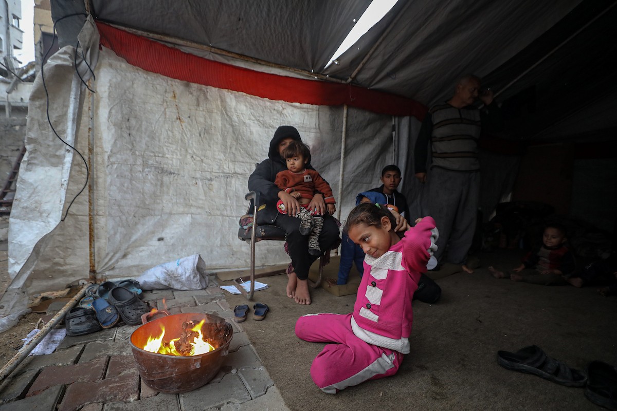 مسنان يعتنيان بـ 36 حفيدًا بعد أن فقدا خمسة من أبنائهما خلال الحرب الإسرائيلية على قطاع غزة (3).jpg