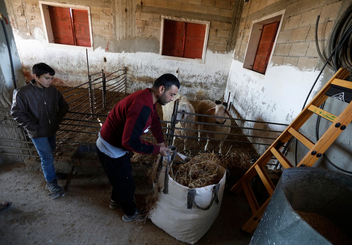 هاجم مستوطنون إسرائيليون عائلة فلسطينية وخربوا ممتلكاتهم في بلدة السموع، جنوب الخليل، 23 ديسمبر/كانون الأول 2025. صور: مأمون وزواز