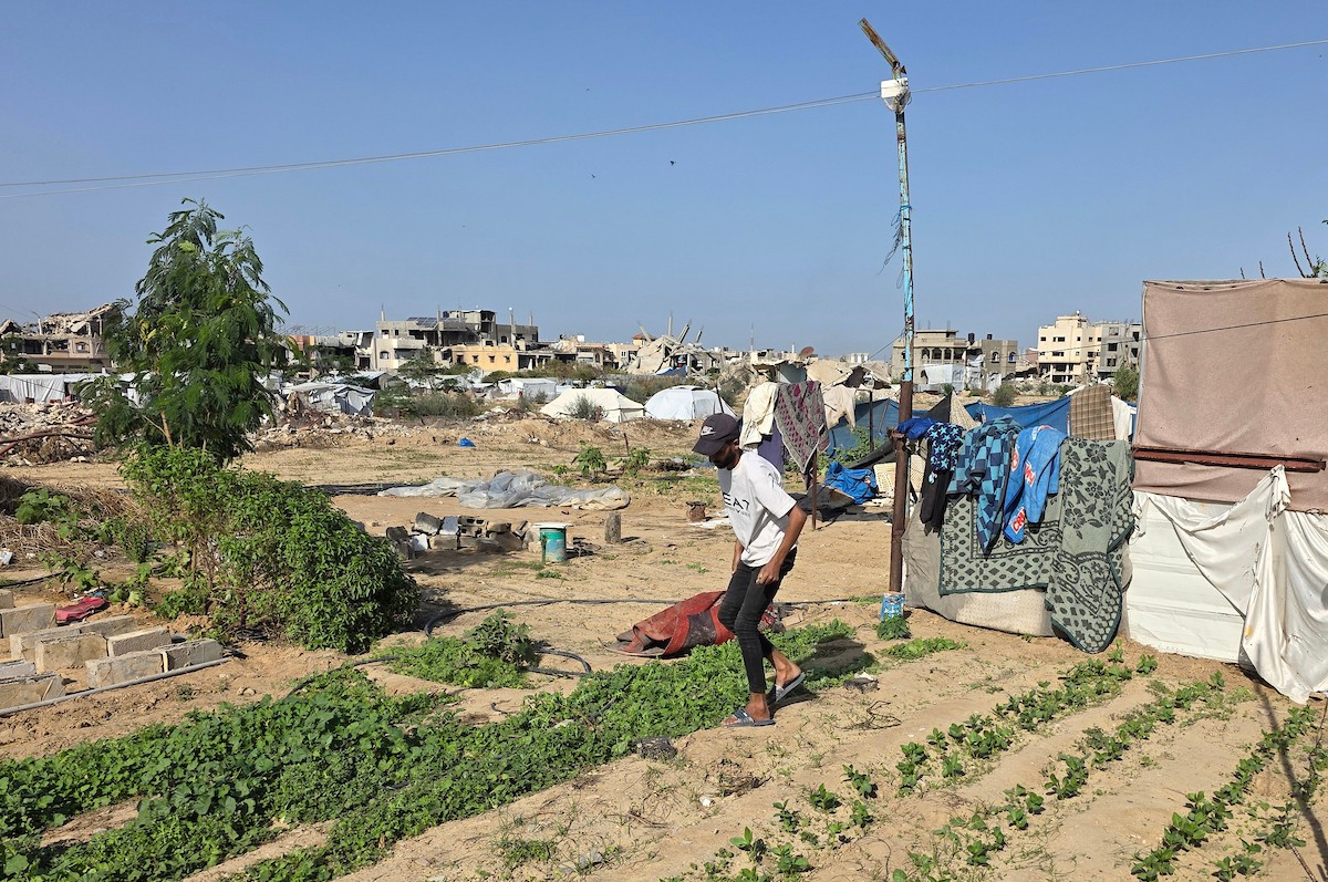 مزارعون فلسطينيون يحرثون ويزرعون أراضيهم شرق خان يونس، بالقرب من خط التماس الأصفر، في محاولة لاستئناف العمل الزراعي بعد اتفاق وقف إطلاق النار