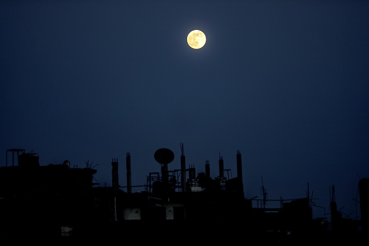 القمر البارد للغاية، آخر قمر عملاق لعام 2025، يظهر فوق سماء مدينة غزة، 4 ديسمبر/كانون الأول 2025. تصوير: عمر أشتوي