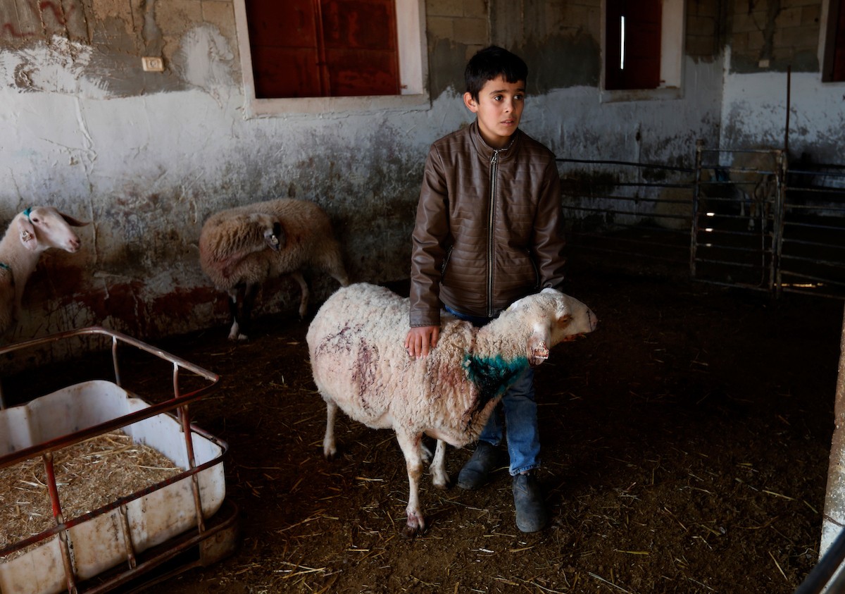 هاجم مستوطنون إسرائيليون عائلة فلسطينية وخربوا ممتلكاتهم في بلدة السموع، جنوب الخليل، 23 ديسمبر/كانون الأول 2025. صور: مأمون وزواز