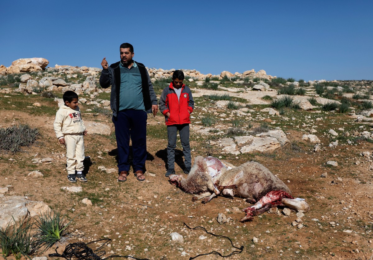 هاجم مستوطنون إسرائيليون عائلة فلسطينية وخربوا ممتلكاتهم في بلدة السموع، جنوب الخليل، 23 ديسمبر/كانون الأول 2025. صور: مأمون وزواز