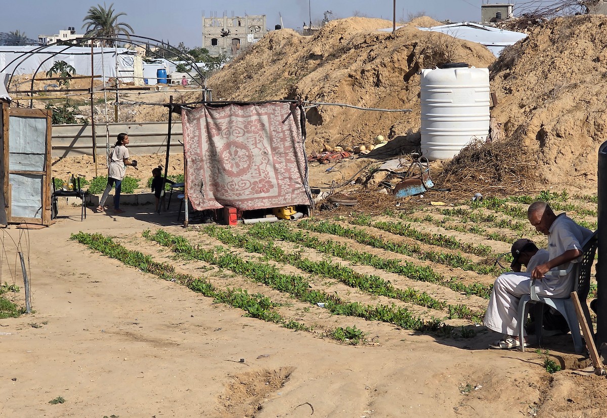 مزارعون فلسطينيون يحرثون ويزرعون أراضيهم شرق خان يونس، بالقرب من خط التماس الأصفر، في محاولة لاستئناف العمل الزراعي بعد اتفاق وقف إطلاق النار