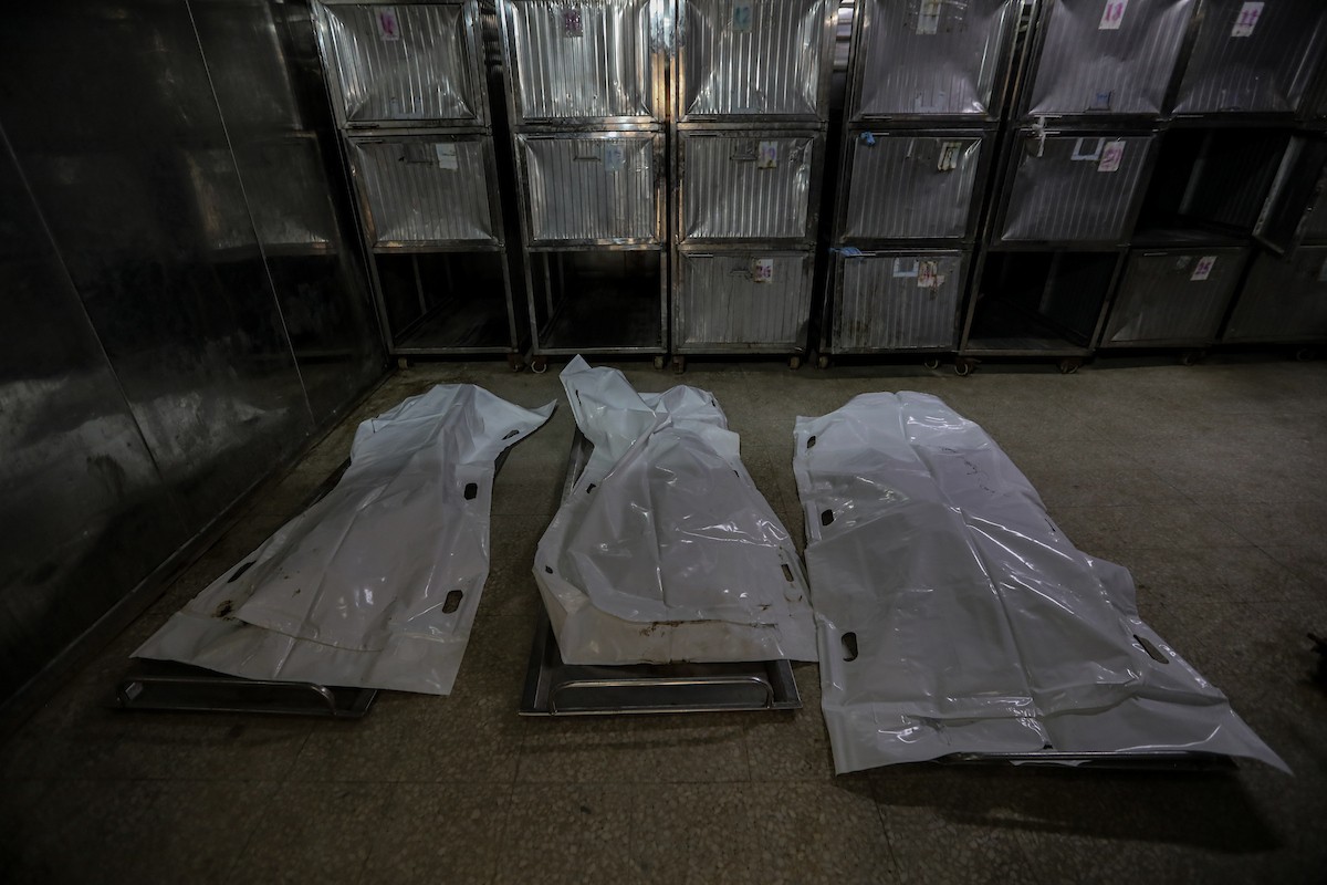 فلسطينيون ينعون ويحملون جثامين عدد من القتلى في غارة إسرائيلية على بيت لاهيا، بينهم أحد عناصر الدفاع المدني، خلال جنازة في مستشفى الشفاء بمدينة غزة