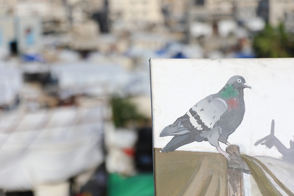 الطفلة النازحة سارة سعدة (14 عامًا) تمارس شغفها الفني بالرسم في خيمتها بمدينة غزة،23 ديسمبر/كانون الأول 2025 تصوير: عمر أشتوي