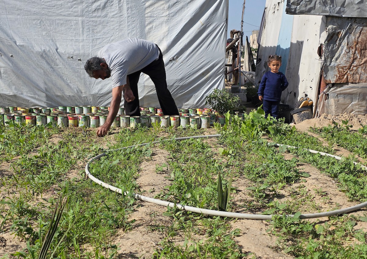 مزارعون فلسطينيون يحرثون ويزرعون أراضيهم شرق خان يونس، بالقرب من خط التماس الأصفر، في محاولة لاستئناف العمل الزراعي بعد اتفاق وقف إطلاق النار
