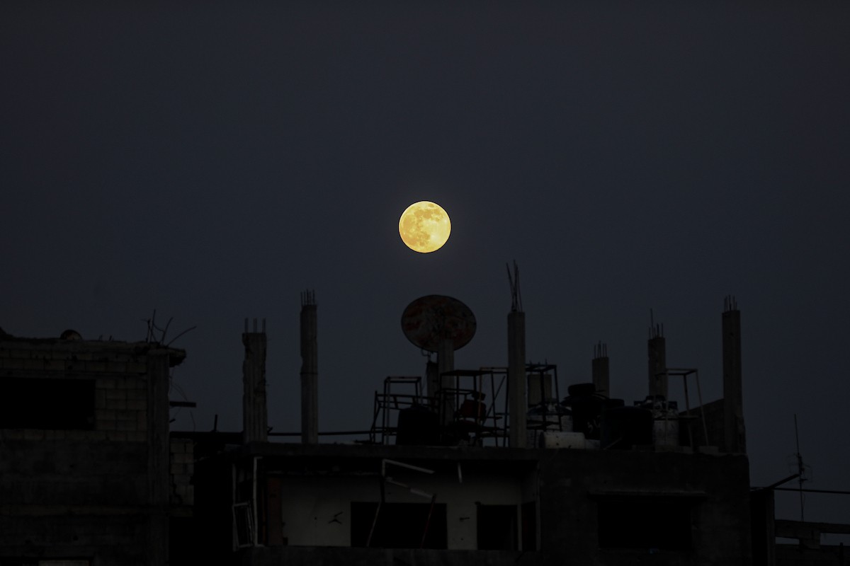 القمر البارد للغاية، آخر قمر عملاق لعام 2025، يظهر فوق سماء مدينة غزة، 4 ديسمبر/كانون الأول 2025. تصوير: عمر أشتوي