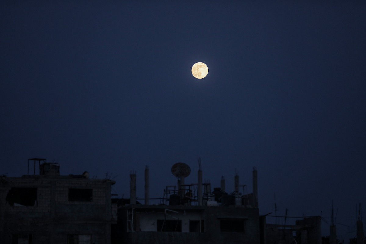 القمر البارد للغاية، آخر قمر عملاق لعام 2025، يظهر فوق سماء مدينة غزة، 4 ديسمبر/كانون الأول 2025. تصوير: عمر أشتوي