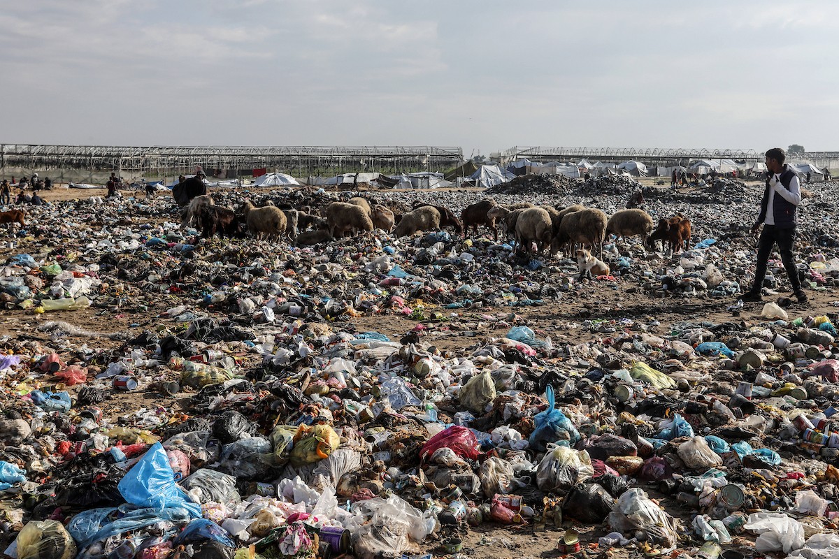 ١٣ ديسمبر/كانون الأول ٢٠٢٥، الأراضي الفلسطينية، نازحون فلسطينيون يبحثون في القمامة في مكب النفايات شمال خان يونس، بحثًا عن البلاستيك أو الورق لإشعال النار للطهي، بسبب انقطاع الغاز. ( عبد رحيم خطيب/وكالة الأنباء الألمانية عبر زوما برس)