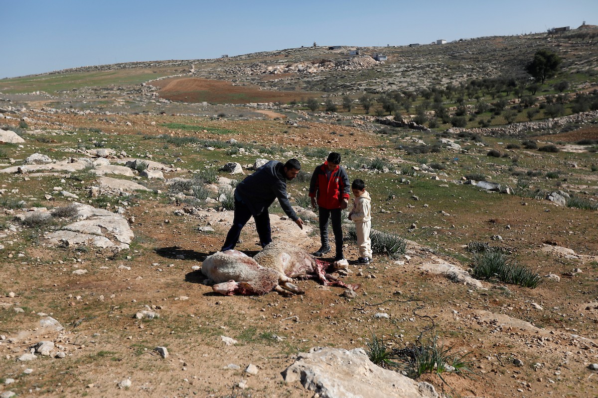 هاجم مستوطنون إسرائيليون عائلة فلسطينية وخربوا ممتلكاتهم في بلدة السموع، جنوب الخليل، 23 ديسمبر/كانون الأول 2025. صور: مأمون وزواز