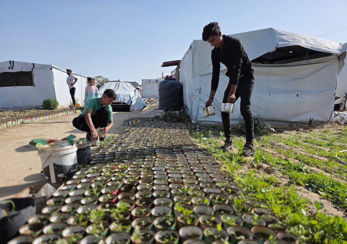 مزارعون فلسطينيون يحرثون ويزرعون أراضيهم شرق خان يونس، بالقرب من خط التماس الأصفر، في محاولة لاستئناف العمل الزراعي بعد اتفاق وقف إطلاق النار