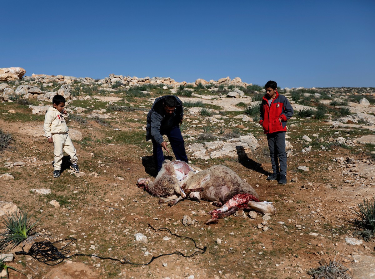 هاجم مستوطنون إسرائيليون عائلة فلسطينية وخربوا ممتلكاتهم في بلدة السموع، جنوب الخليل، 23 ديسمبر/كانون الأول 2025. صور: مأمون وزواز