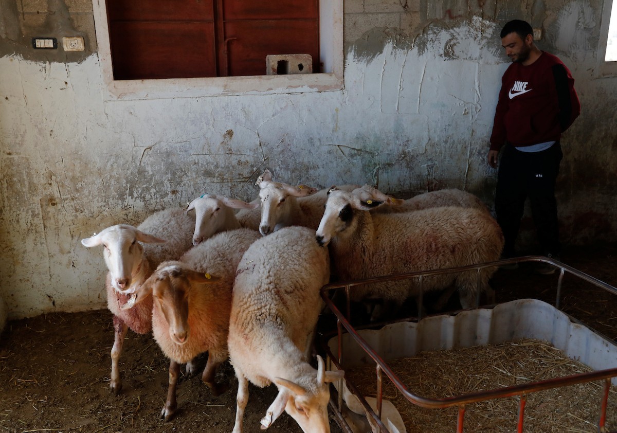 هاجم مستوطنون إسرائيليون عائلة فلسطينية وخربوا ممتلكاتهم في بلدة السموع، جنوب الخليل، 23 ديسمبر/كانون الأول 2025. صور: مأمون وزواز