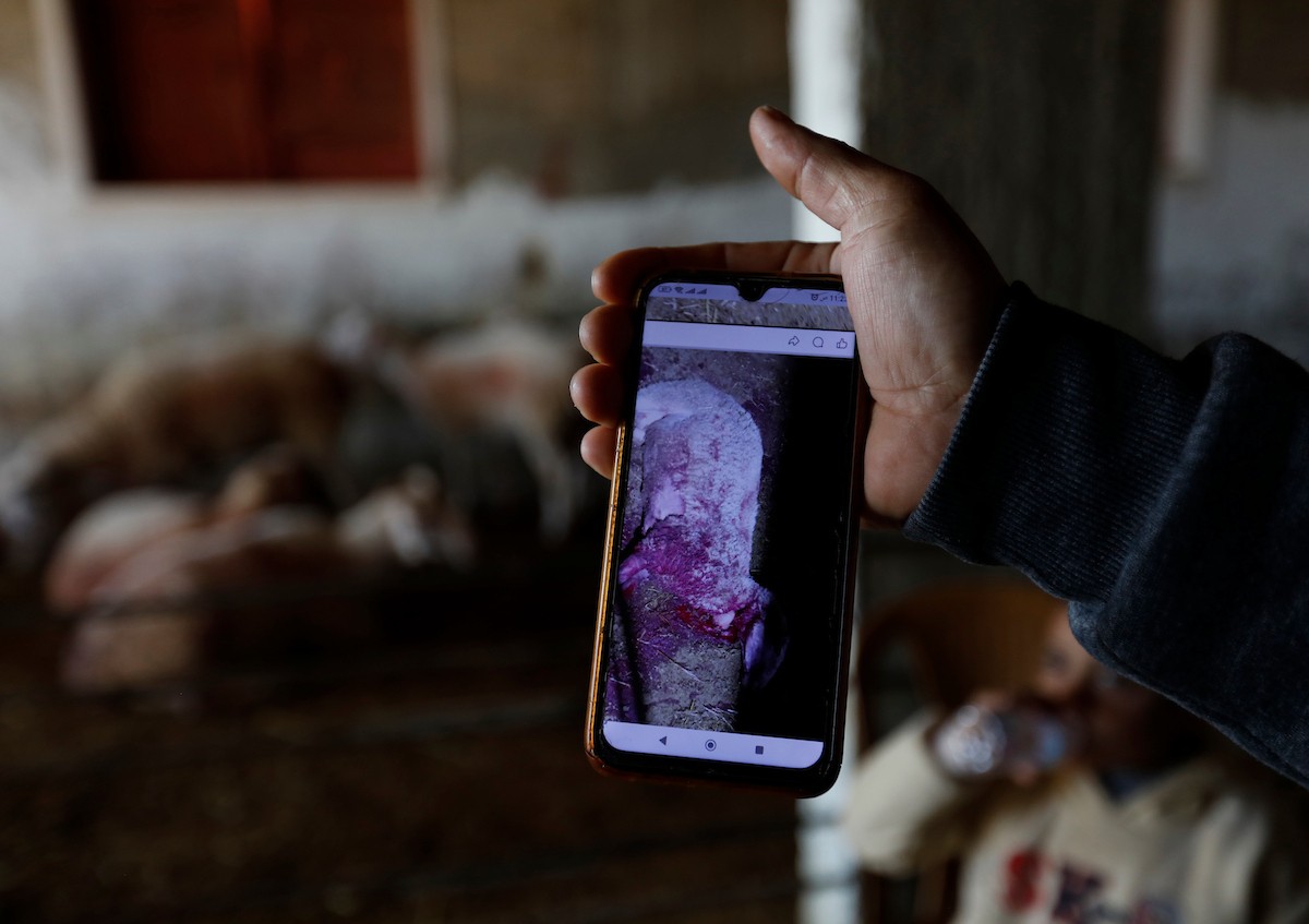 هاجم مستوطنون إسرائيليون عائلة فلسطينية وخربوا ممتلكاتهم في بلدة السموع، جنوب الخليل، 23 ديسمبر/كانون الأول 2025. صور: مأمون وزواز