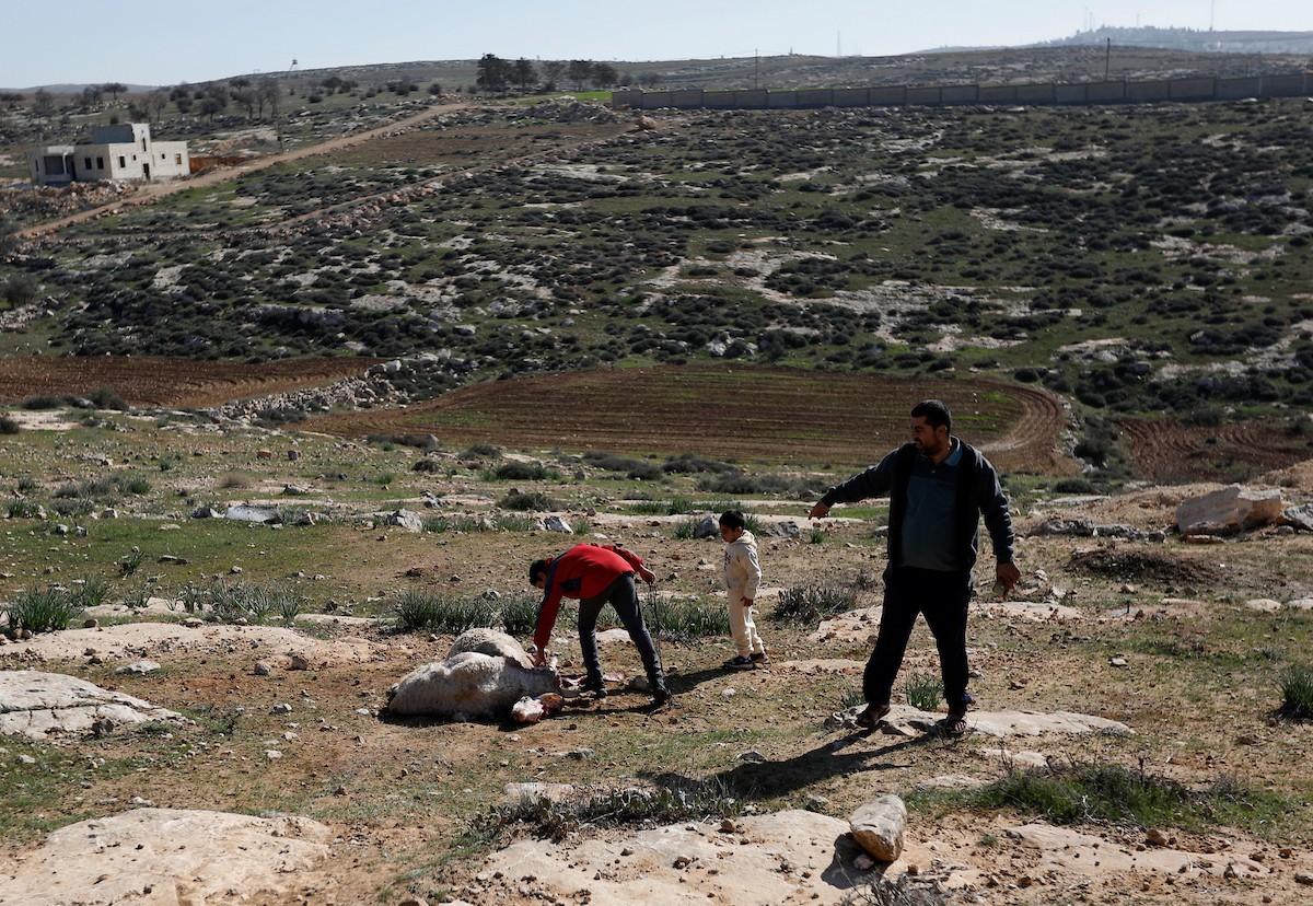 هاجم مستوطنون إسرائيليون عائلة فلسطينية وخربوا ممتلكاتهم في بلدة السموع، جنوب الخليل، 23 ديسمبر/كانون الأول 2025. صور: مأمون وزواز