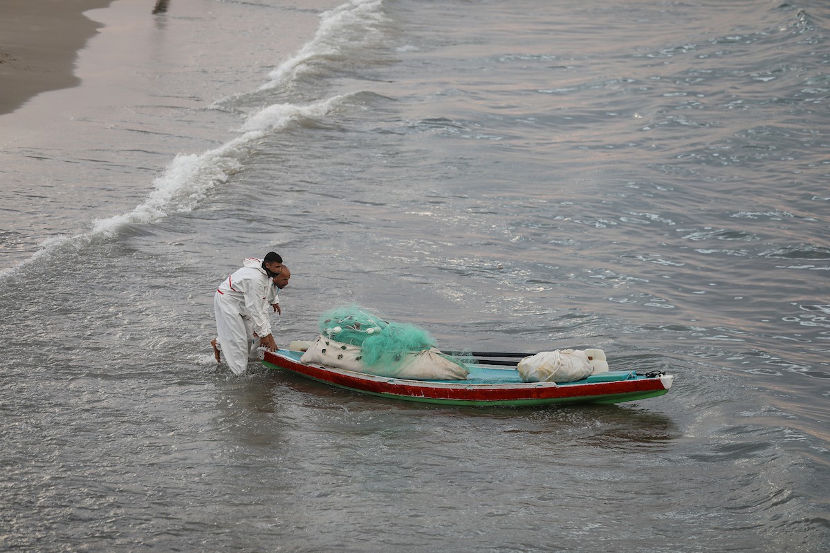 يقضي فلسطينيون نازحون وقتًا على الشاطئ مقابل خيامهم الممتدة على طول ميناء غزة، في غزة، 5 ديسمبر/كانون الأول 2025. تصوير: عمر أشتوي