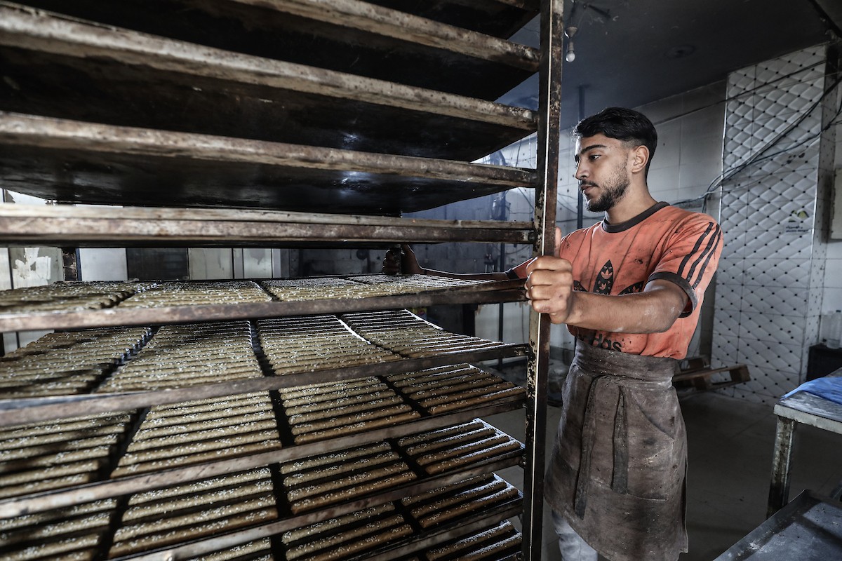 عمال فلسطينيون يعيدون تشغيل أحد أقدم المخابز في مخيم النصيرات للاجئين بعد إغلاقه لمدة عامين بسبب الحرب (24).jpg