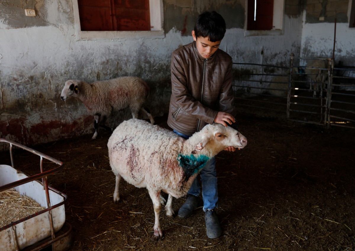 هاجم مستوطنون إسرائيليون عائلة فلسطينية وخربوا ممتلكاتهم في بلدة السموع، جنوب الخليل، 23 ديسمبر/كانون الأول 2025. صور: مأمون وزواز