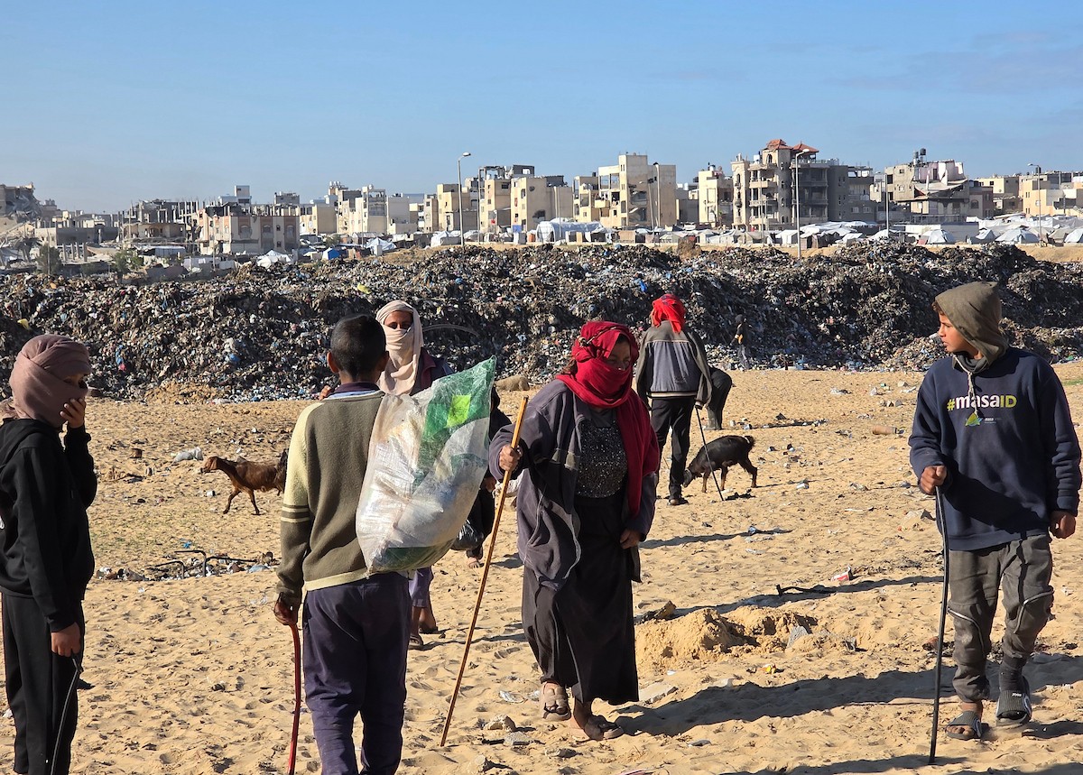 يُضطر رعاة الماعز الفلسطينيون في قطاع غزة إلى إطعام مواشيهم من مكبات النفايات بعد فقدانهم إمكانية الوصول إلى المراعي والأعلاف الحيوانية بسبب الحرب