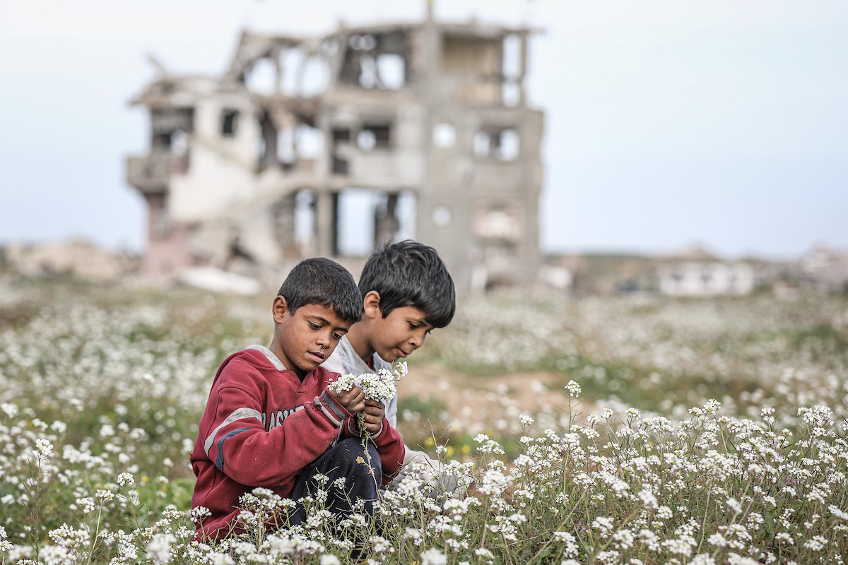 عائلات فلسطينية نازحة تكافح من أجل البقاء في ظروف قاسية بمخيم النصيرات للاجئين وسط قطاع غزة، 29 يناير/كانون الثاني 2026.صورة: رمزي أبو عامر