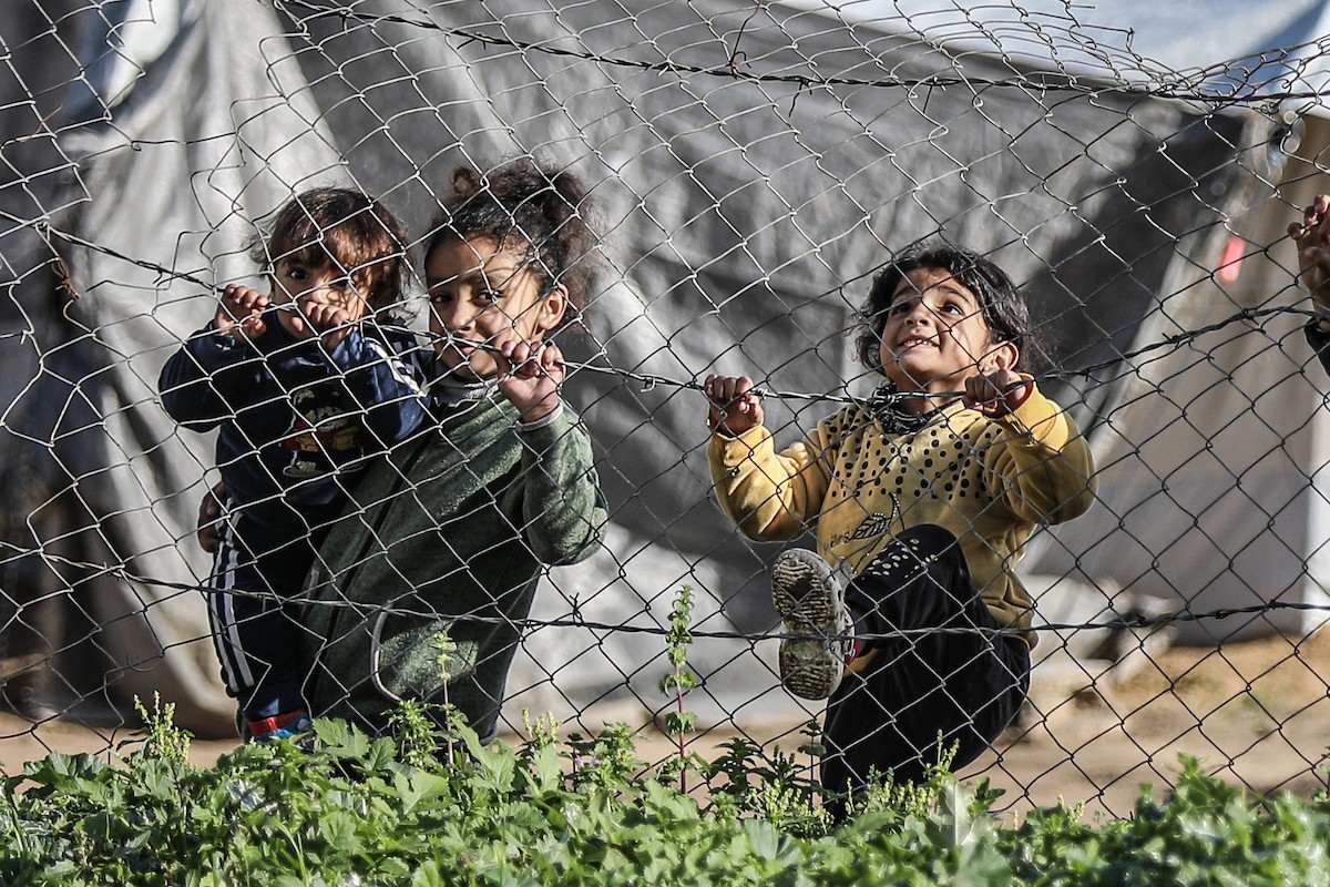 عائلات فلسطينية نازحة تكافح من أجل البقاء في ظروف قاسية بمخيم النصيرات للاجئين وسط قطاع غزة، 29 يناير/كانون الثاني 2026.صورة: رمزي أبو عامر