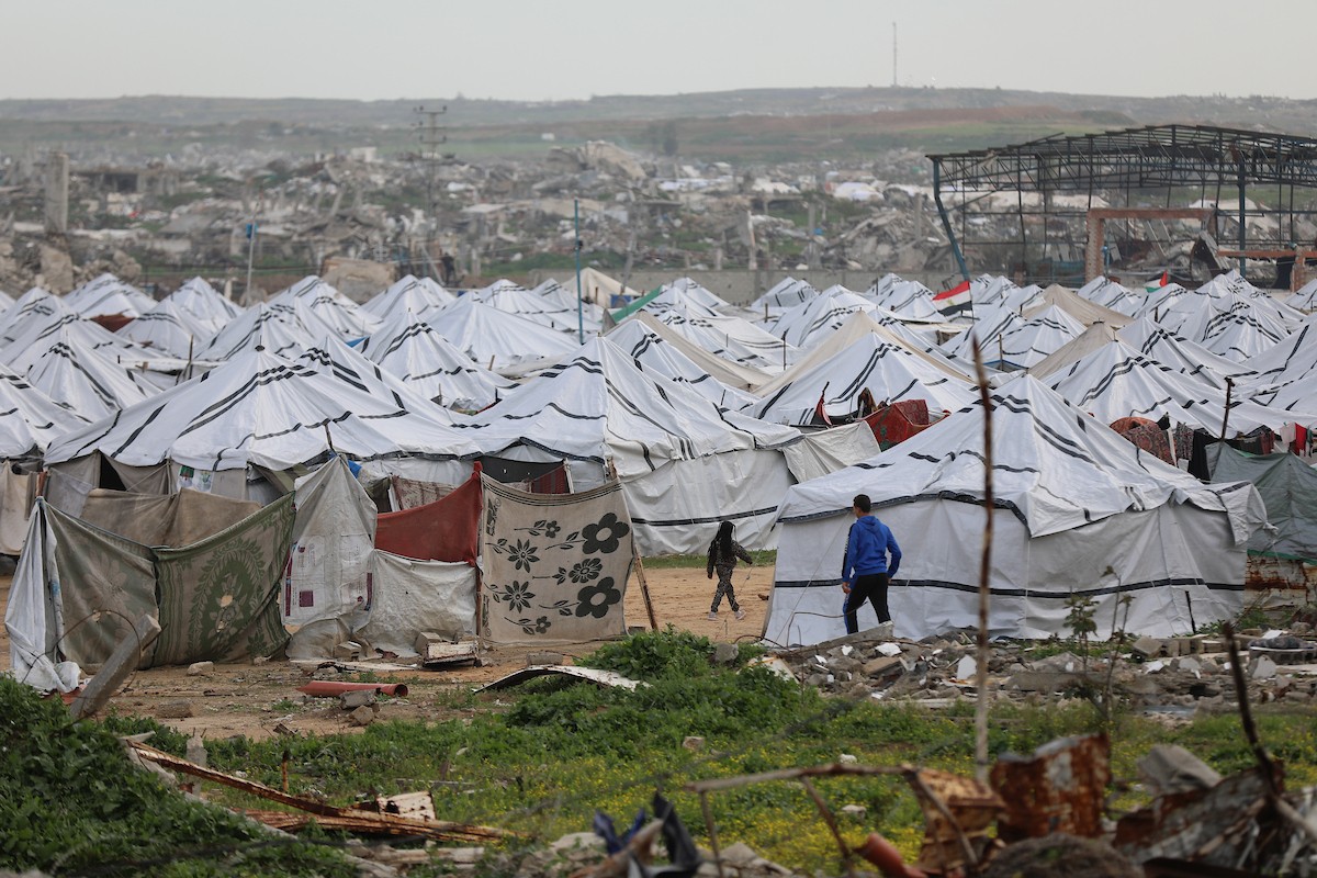 عائلات فلسطينية نازحة تكافح من أجل البقاء في ظروف قاسية بمخيم النصيرات للاجئين وسط قطاع غزة، 29 يناير/كانون الثاني 2026.صورة: رمزي أبو عامر