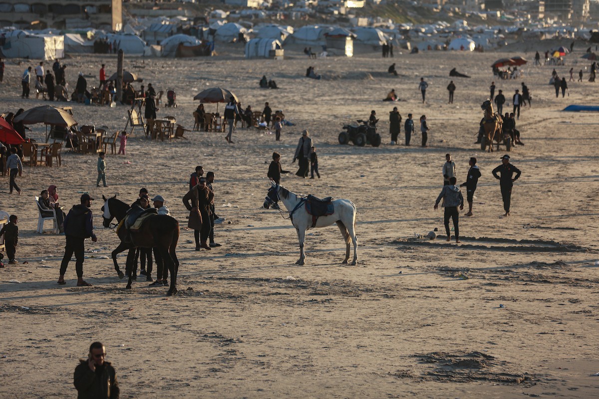 يقضي الفلسطينيون أوقاتهم على شاطئ البحر عند غروب الشمس في مدينة غزة، 16 يناير/كانون الثاني 2026. تصوير: عمر أشتوي
