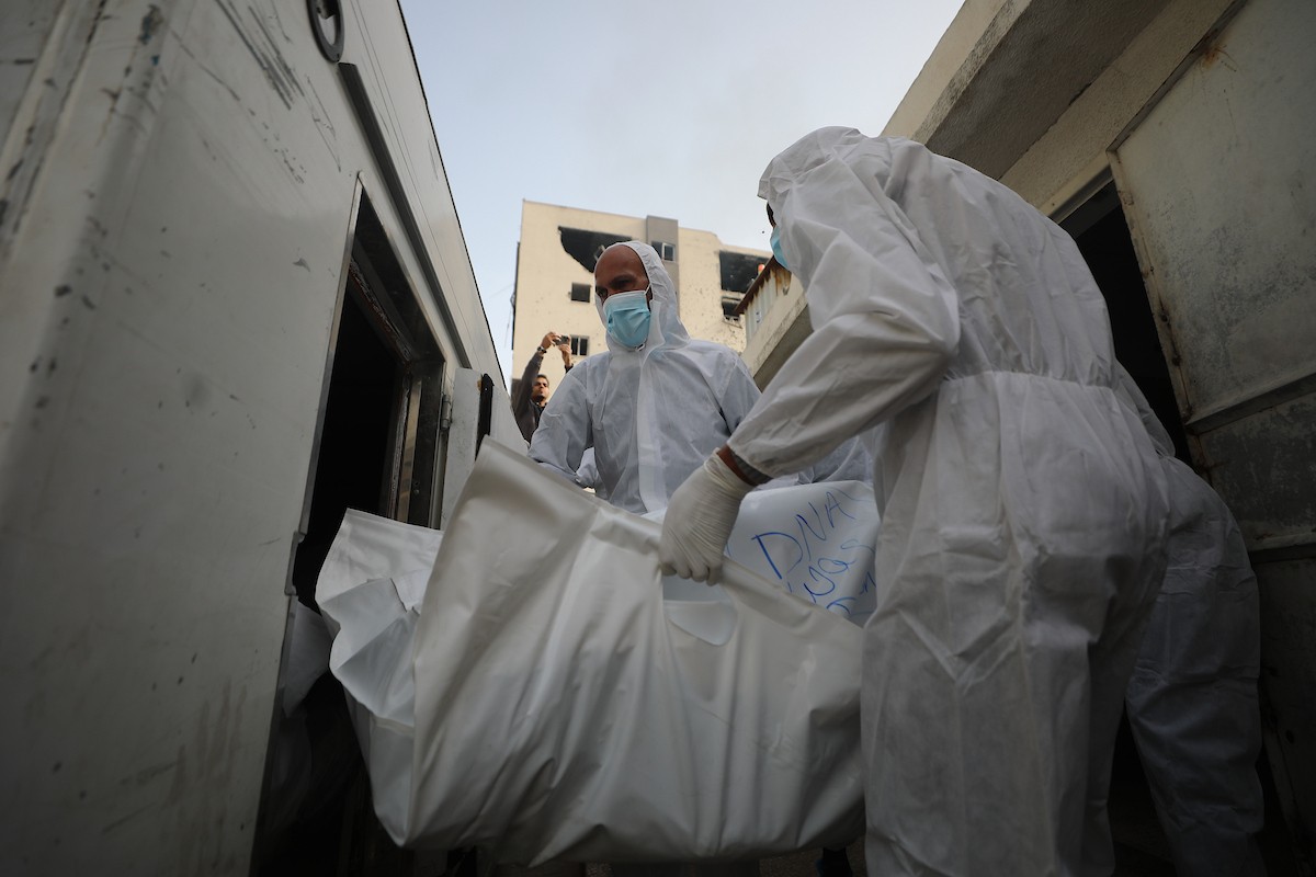 تُجري إدارة الطب الشرعي والأدلة الجنائية بوزارة العدل فحوصاتٍ لخمس عشرة جثة فلسطينية بمستشفى الشفاء في مدينة غزة، لمحاولة التعرف عليها، 30 يناير/كانون الثاني 2026. صورة: عمر أشتوي