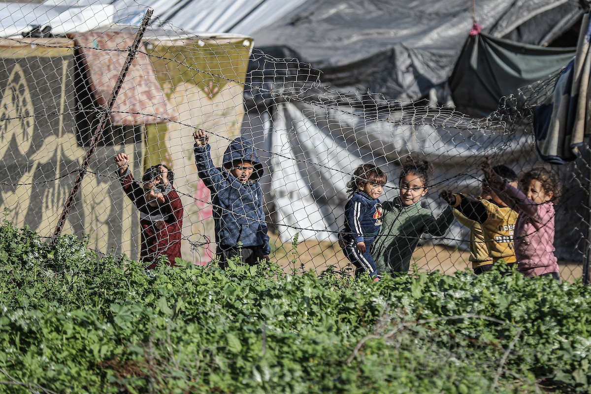 عائلات فلسطينية نازحة تكافح من أجل البقاء في ظروف قاسية بمخيم النصيرات للاجئين وسط قطاع غزة، 29 يناير/كانون الثاني 2026.صورة: رمزي أبو عامر