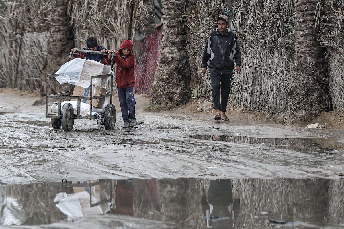 تواصل العائلات الفلسطينية النازحة المقيمة في مخيم الزوايدة وسط قطاع غزة حياتها اليومية في ظل ظروف قاسية داخل خيام متهالكة لا توفر أي حماية أو دفء من برد الشتاء القارس، 18 يناير/كانون الثاني 2026. صورة: رمزي أبو عامر