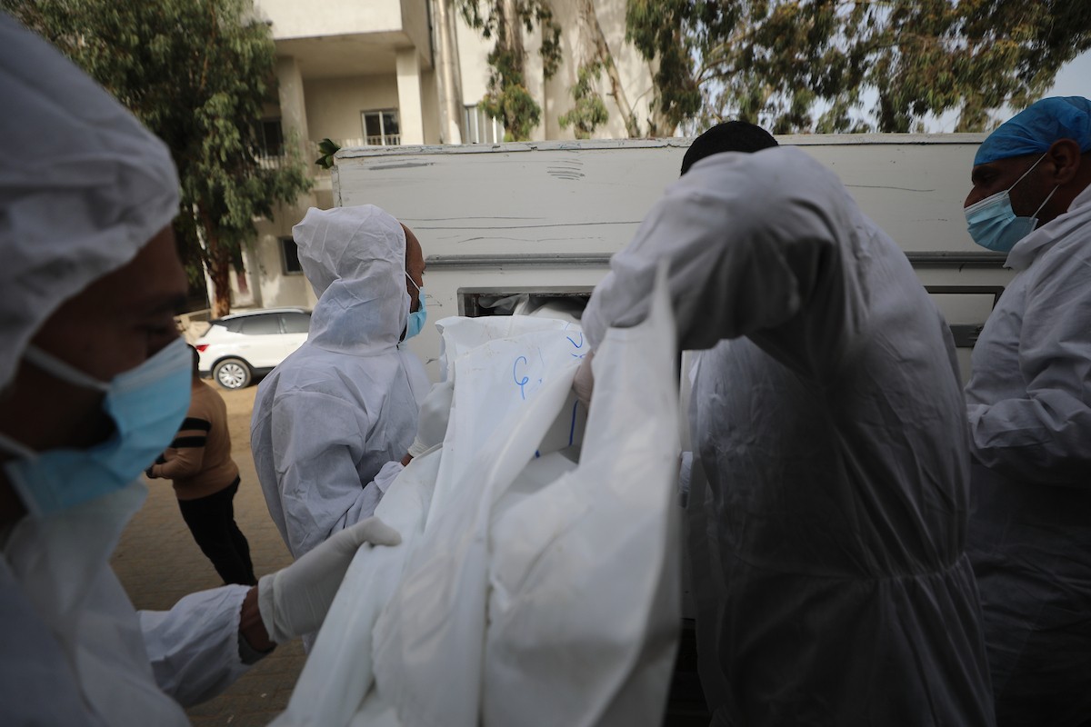 تُجري إدارة الطب الشرعي والأدلة الجنائية بوزارة العدل فحوصاتٍ لخمس عشرة جثة فلسطينية بمستشفى الشفاء في مدينة غزة، لمحاولة التعرف عليها، 30 يناير/كانون الثاني 2026. صورة: عمر أشتوي