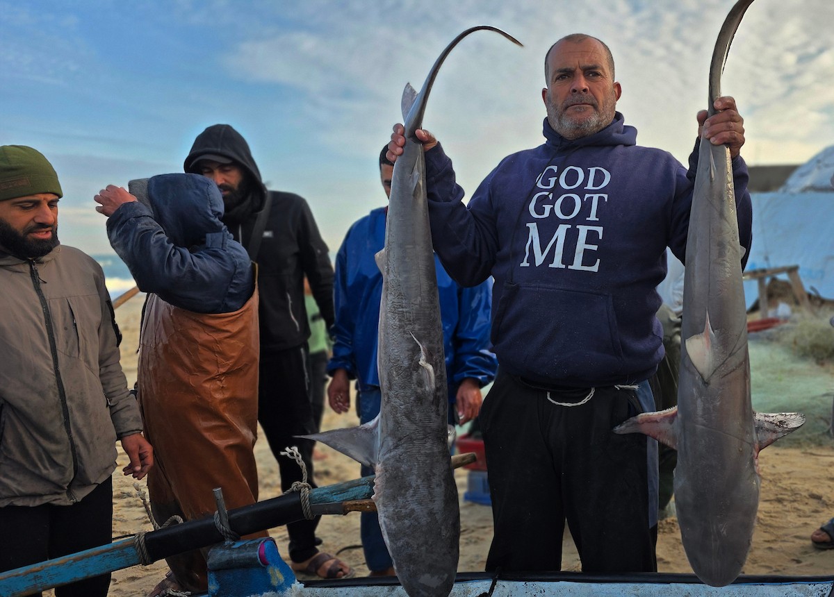 صيادون يعودون للعمل قبالة سواحل خان يونس بإمكانيات محدودة ومخاوف ملاحقتهم واستهدافهم من قبل الاحتلال الاسرائيلي، 31 ديسمبر/كانون الأول 2025. صورة: طارق محمد
