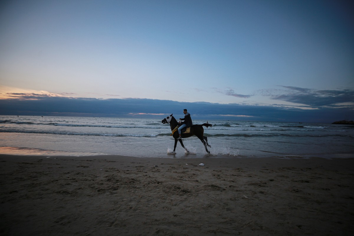 يقضي الفلسطينيون أوقاتهم على شاطئ البحر عند غروب الشمس في مدينة غزة، 16 يناير/كانون الثاني 2026. تصوير: عمر أشتوي