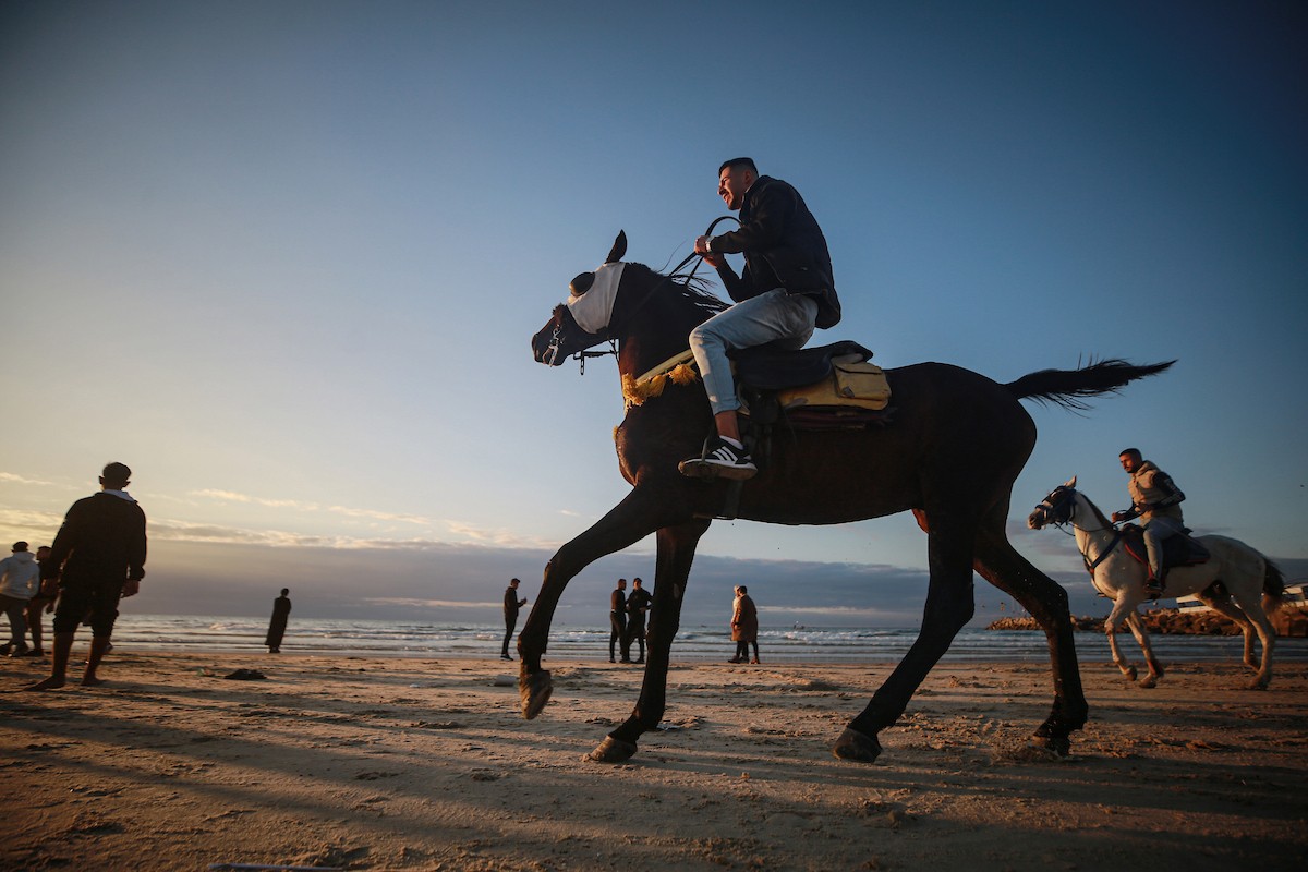 يقضي الفلسطينيون أوقاتهم على شاطئ البحر عند غروب الشمس في مدينة غزة، 16 يناير/كانون الثاني 2026. تصوير: عمر أشتوي