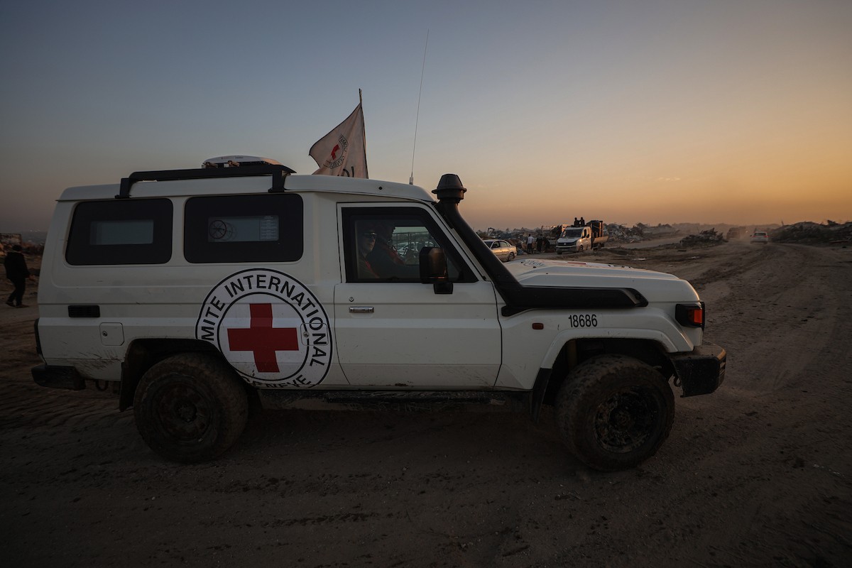 استئناف عمليات البحث عن جثة الرهينة الإسرائيلي الأخير، ران غفيلي، في حي الزيتون بمدينة غزة، وترافق العمليات الجارية في المنطقة آليات ثقيلة من مصر، وفرق من كتائب القسام، الجناح العسكري لحركة 