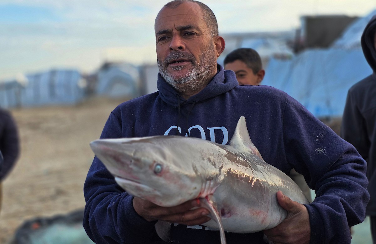 صيادون يعودون للعمل قبالة سواحل خان يونس بإمكانيات محدودة ومخاوف ملاحقتهم واستهدافهم من قبل الاحتلال الاسرائيلي، 31 ديسمبر/كانون الأول 2025. صورة: طارق محمد