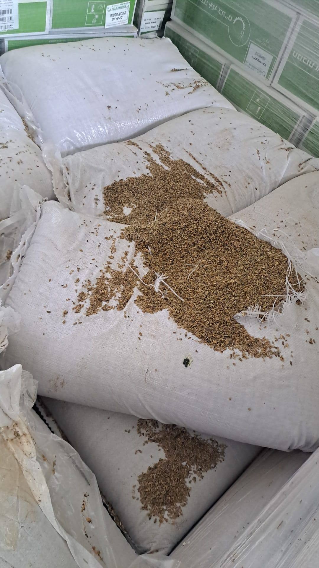 ضبط 50 طنا من الحبوب والمكسرات التالفة في محافظة الخليل 3.jpg