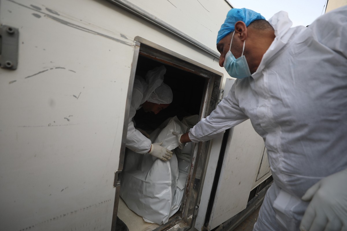 تُجري إدارة الطب الشرعي والأدلة الجنائية بوزارة العدل فحوصاتٍ لخمس عشرة جثة فلسطينية بمستشفى الشفاء في مدينة غزة، لمحاولة التعرف عليها، 30 يناير/كانون الثاني 2026. صورة: عمر أشتوي