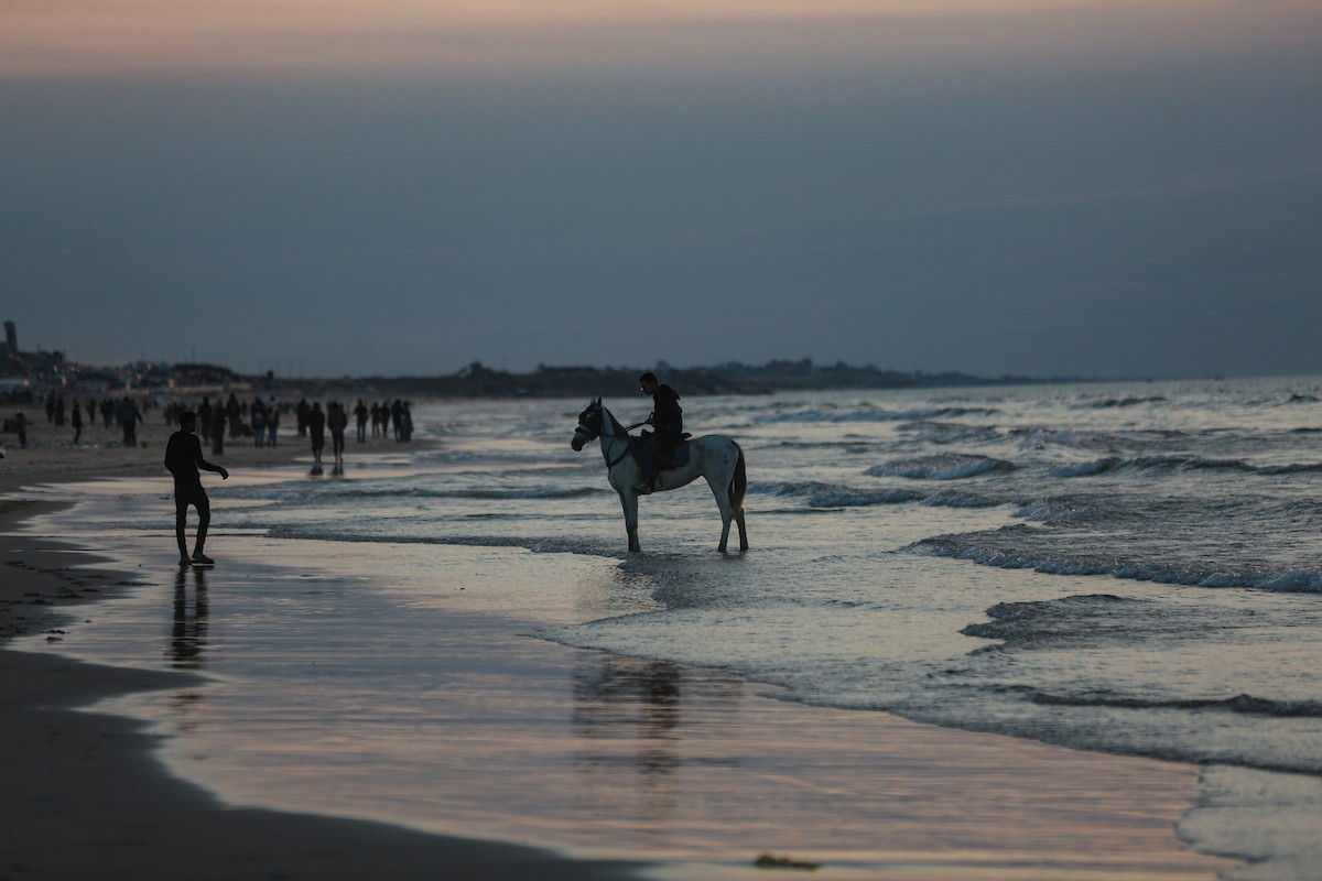 يقضي الفلسطينيون أوقاتهم على شاطئ البحر عند غروب الشمس في مدينة غزة، 16 يناير/كانون الثاني 2026. تصوير: عمر أشتوي