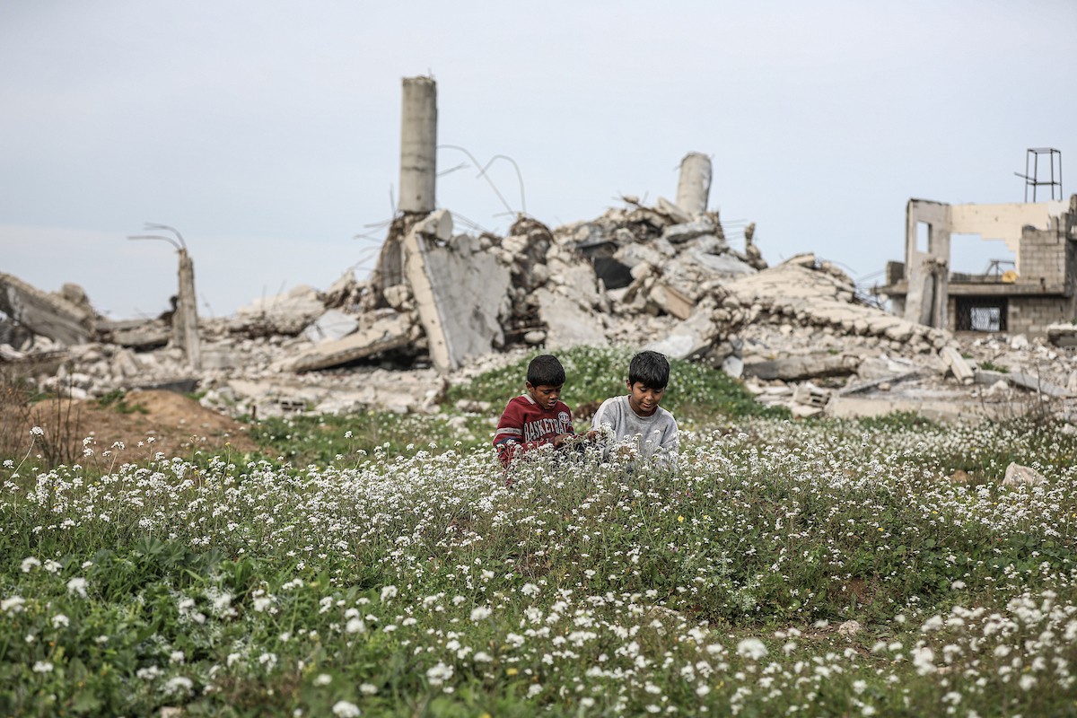 عائلات فلسطينية نازحة تكافح من أجل البقاء في ظروف قاسية بمخيم النصيرات للاجئين وسط قطاع غزة، 29 يناير/كانون الثاني 2026.صورة: رمزي أبو عامر