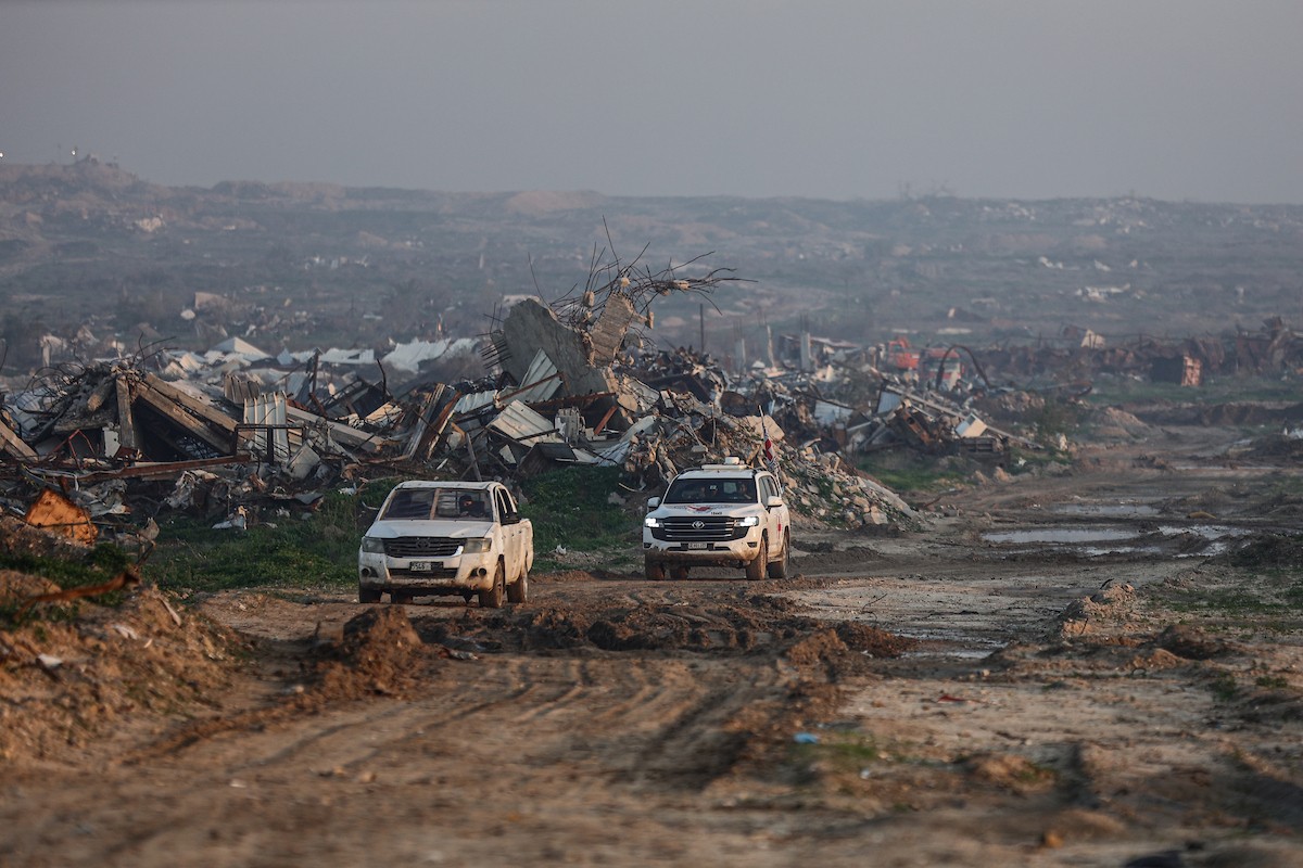 استئناف عمليات البحث عن جثة الرهينة الإسرائيلي الأخير، ران غفيلي، في حي الزيتون بمدينة غزة، وترافق العمليات الجارية في المنطقة آليات ثقيلة من مصر، وفرق من كتائب القسام، الجناح العسكري لحركة 
