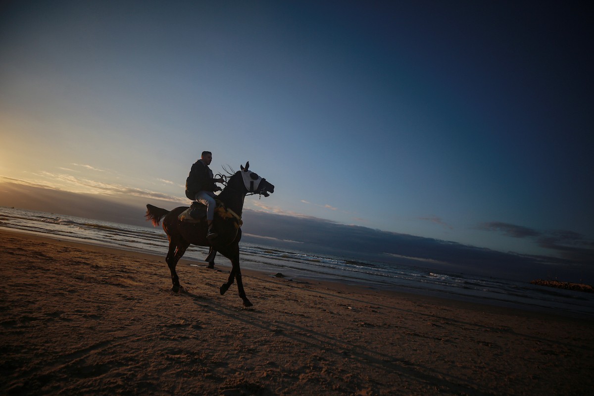 يقضي الفلسطينيون أوقاتهم على شاطئ البحر عند غروب الشمس في مدينة غزة، 16 يناير/كانون الثاني 2026. تصوير: عمر أشتوي