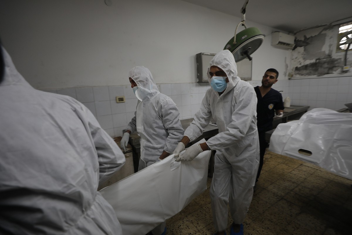 تُجري إدارة الطب الشرعي والأدلة الجنائية بوزارة العدل فحوصاتٍ لخمس عشرة جثة فلسطينية بمستشفى الشفاء في مدينة غزة، لمحاولة التعرف عليها، 30 يناير/كانون الثاني 2026. صورة: عمر أشتوي